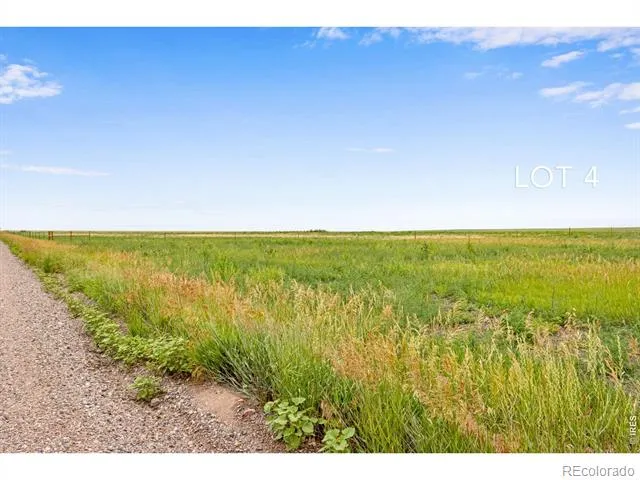 46 TBD County Road Carr, CO 80612