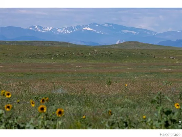46 TBD County Road Carr, CO 80612