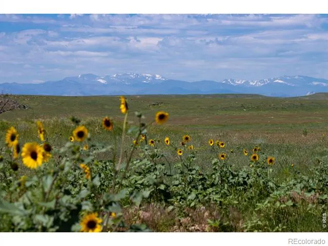 46 TBD County Road Carr, CO 80612