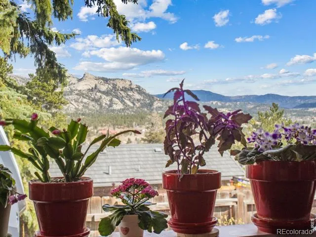 517 Birch Avenue Estes Park, CO 80517