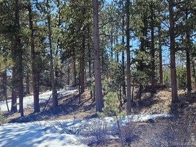 1001 Fox Acres Drive E Red Feather Lakes, CO 80545