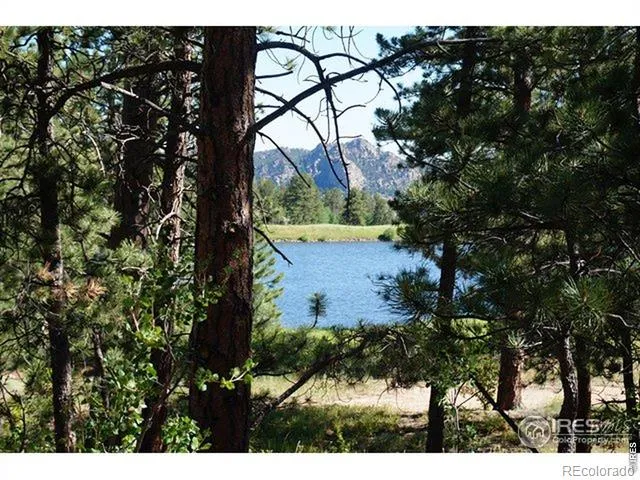 1001 Fox Acres Drive E Red Feather Lakes, CO 80545