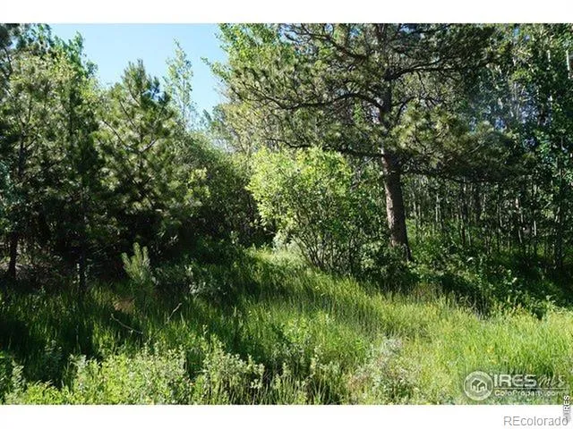 1001 Fox Acres Drive E Red Feather Lakes, CO 80545