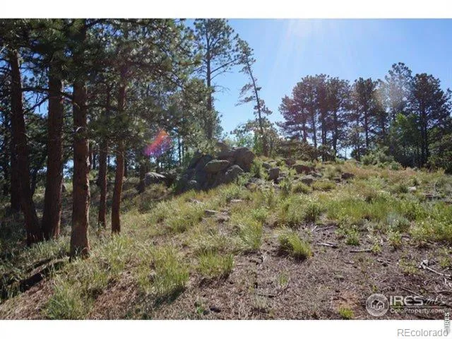 1001 Fox Acres Drive E Red Feather Lakes, CO 80545