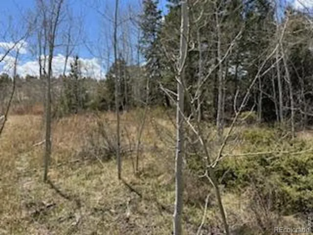 400 Fox Acres Drive W Red Feather Lakes, CO 80545