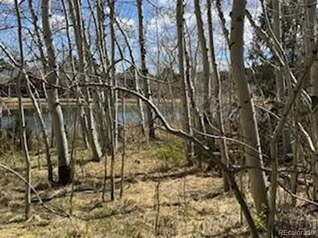 400 Fox Acres Drive W Red Feather Lakes, CO 80545
