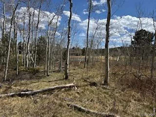 400 Fox Acres Drive W Red Feather Lakes, CO 80545