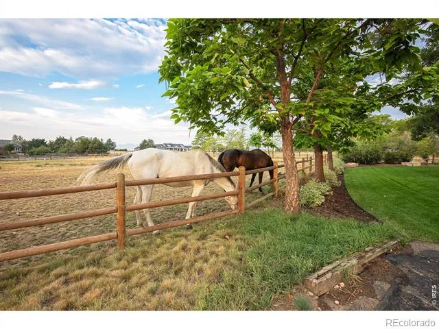 9421 Gunbarrel Ridge Road Boulder, CO 80301