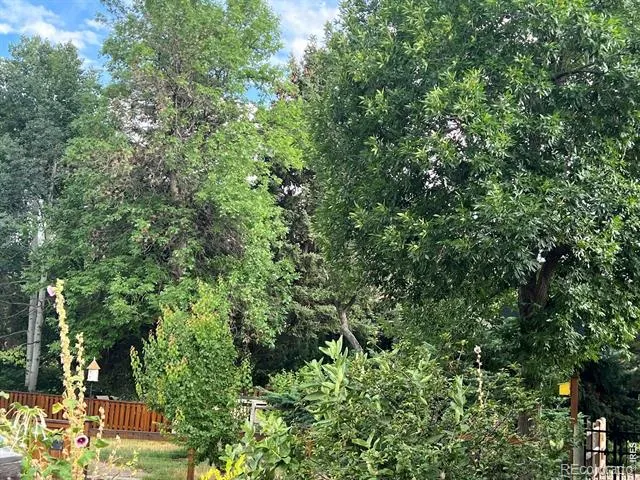 500 Apple Blossom Lane Fort Collins, CO 80526