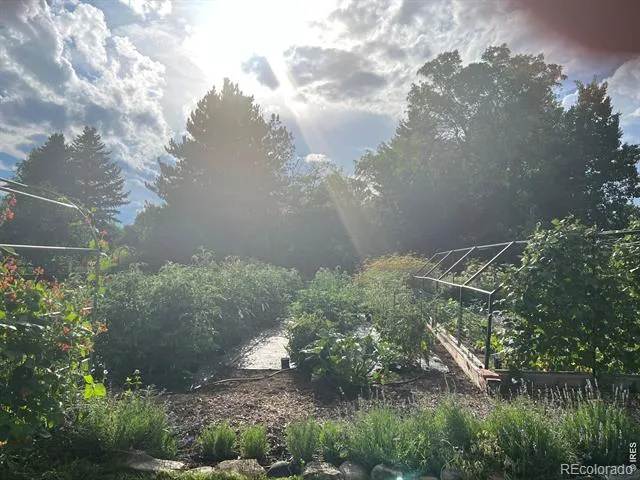500 Apple Blossom Lane Fort Collins, CO 80526