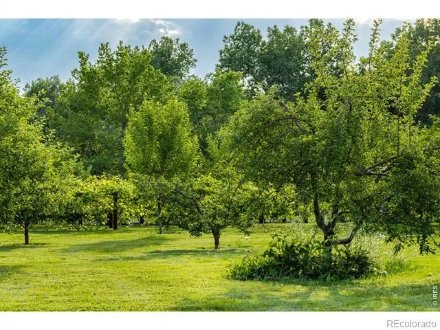 500 Apple Blossom Lane Fort Collins, CO 80526