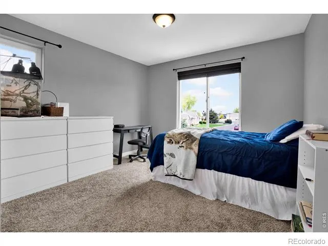 331 Heidie Lane Milliken, CO 80543