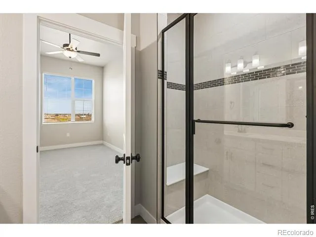 968 Birdwhistle Lane #5 Fort Collins, CO 80524