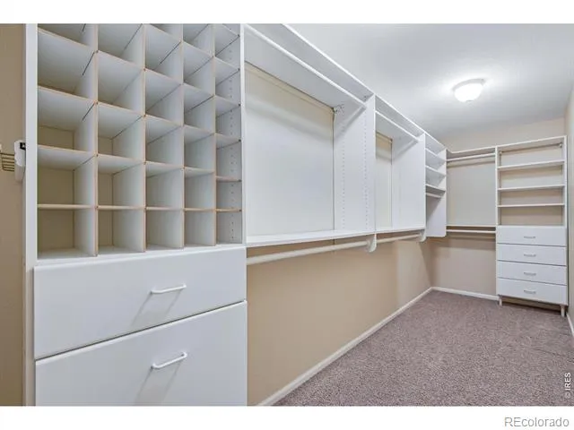 1431 Laurenwood Way Highlands Ranch, CO 80129