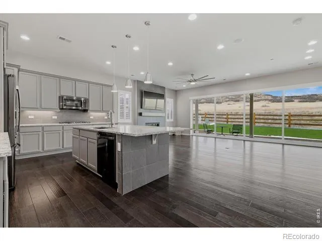 6725 Mentha Drive Castle Rock, CO 80108