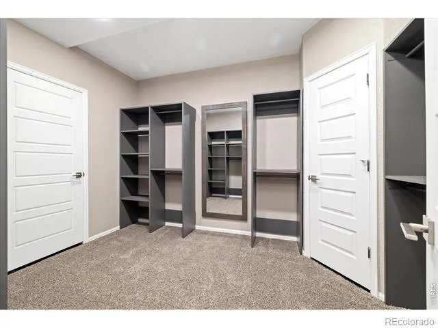 6725 Mentha Drive Castle Rock, CO 80108