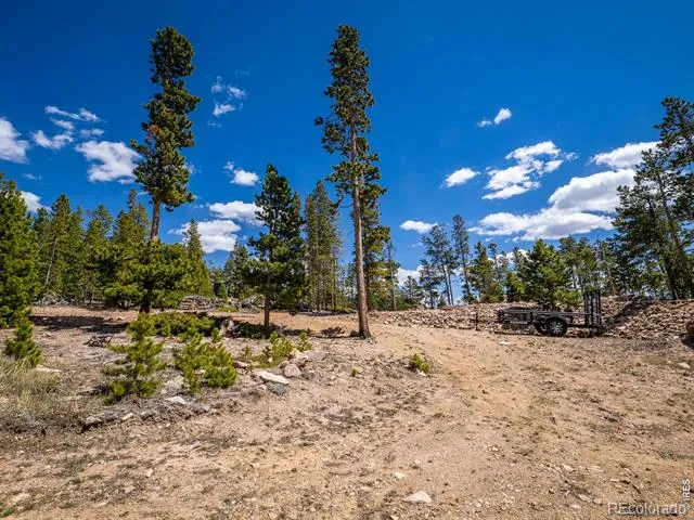 132 Dogrib Court Red Feather Lakes, CO 80545