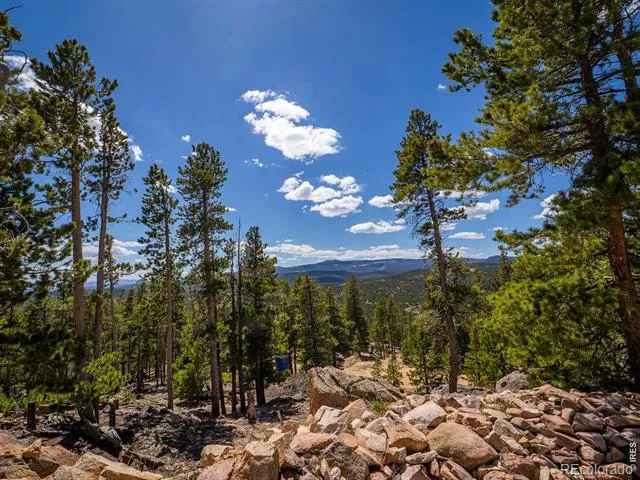 132 Dogrib Court Red Feather Lakes, CO 80545