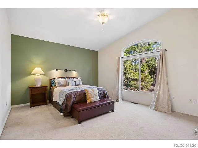 610 Meadowlake Drive Black Hawk, CO 80422