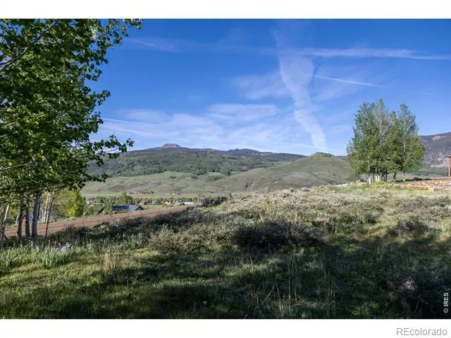 451 Zeligman Street Crested Butte, CO 81224