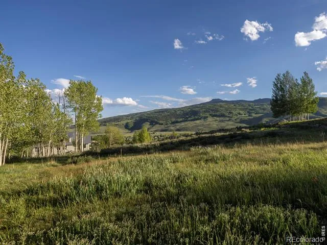 451 Zeligman Street Crested Butte, CO 81224