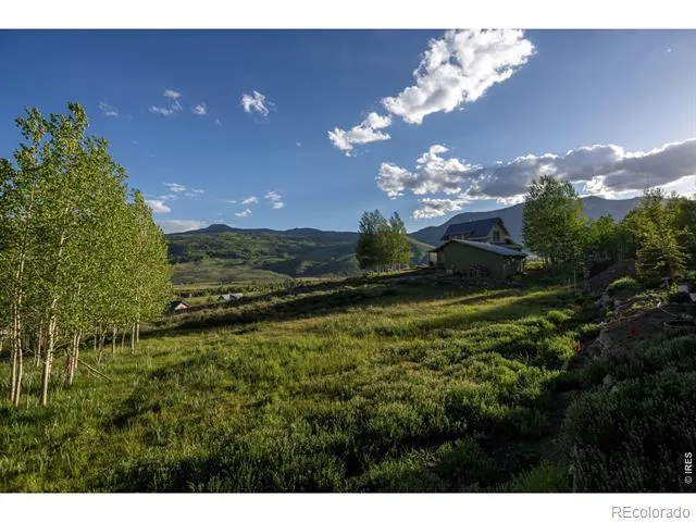 451 Zeligman Street Crested Butte, CO 81224