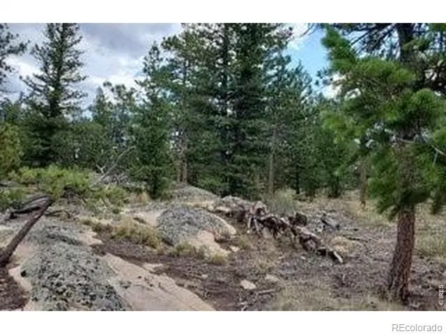 3021 Lake Arapahoe Court Red Feather Lakes, CO 80545