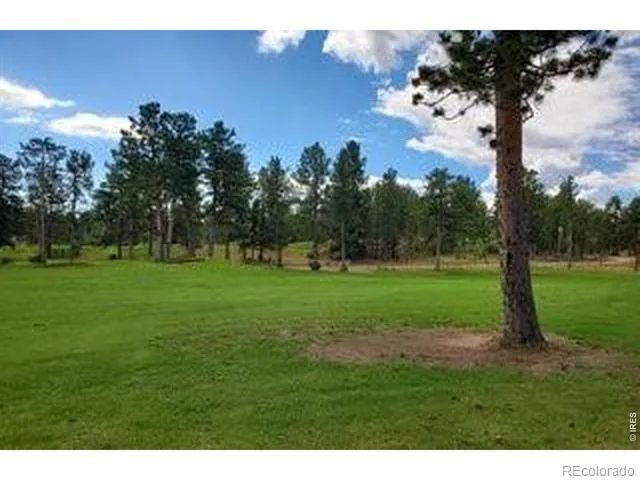 3021 Lake Arapahoe Court Red Feather Lakes, CO 80545