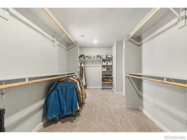 4490 Haymill Court Timnath, CO 80547