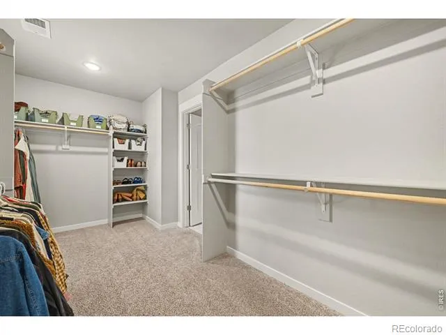 4490 Haymill Court Timnath, CO 80547