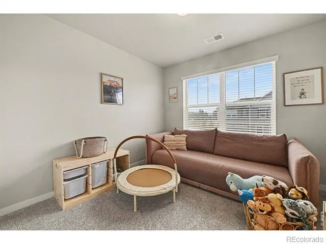 4490 Haymill Court Timnath, CO 80547