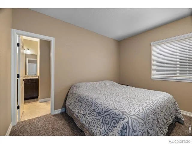 4135 Carroway Seed Drive Johnstown, CO 80534