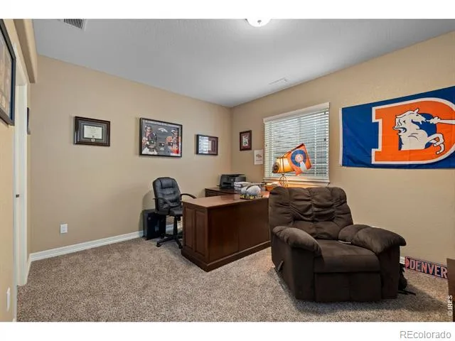 4135 Carroway Seed Drive Johnstown, CO 80534