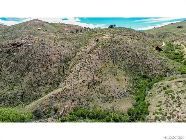 173 Grays Peak Court Livermore, CO 80536