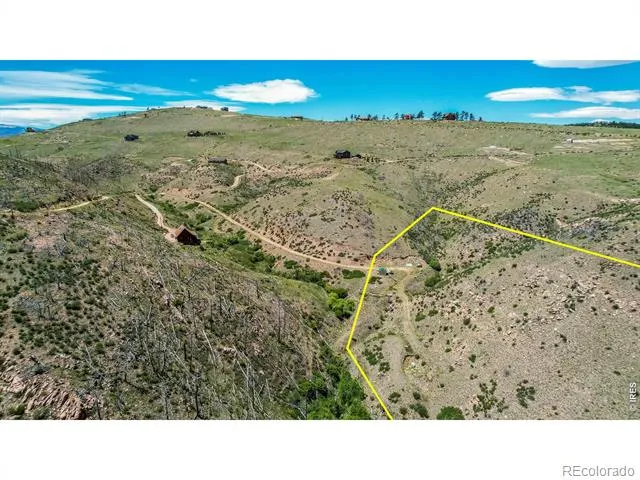 173 Grays Peak Court Livermore, CO 80536