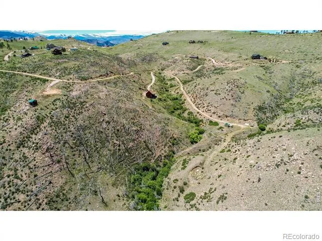 173 Grays Peak Court Livermore, CO 80536