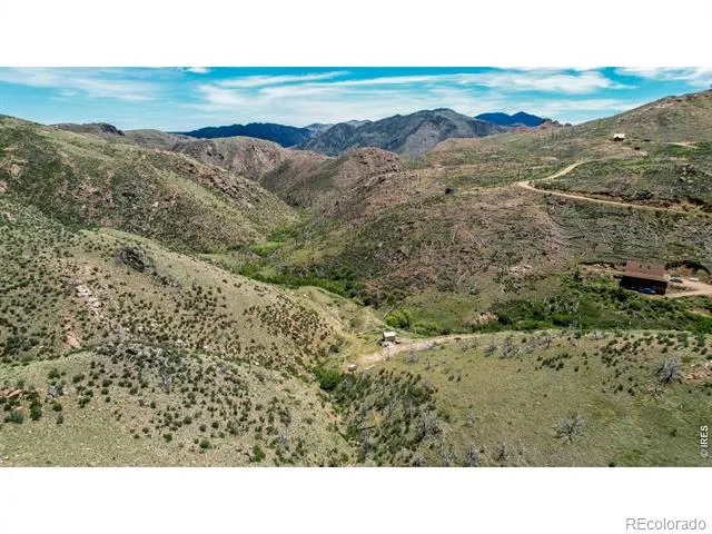 173 Grays Peak Court Livermore, CO 80536