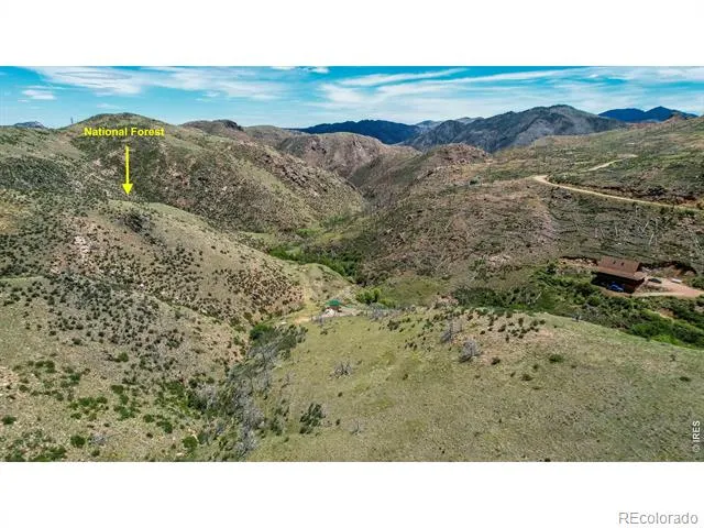173 Grays Peak Court Livermore, CO 80536