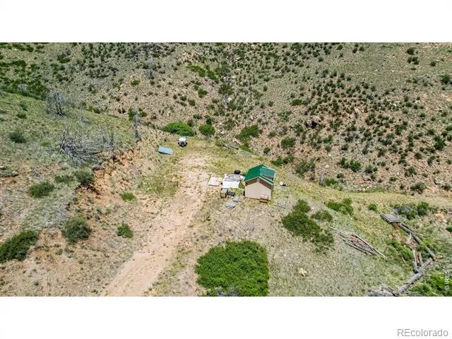 173 Grays Peak Court Livermore, CO 80536