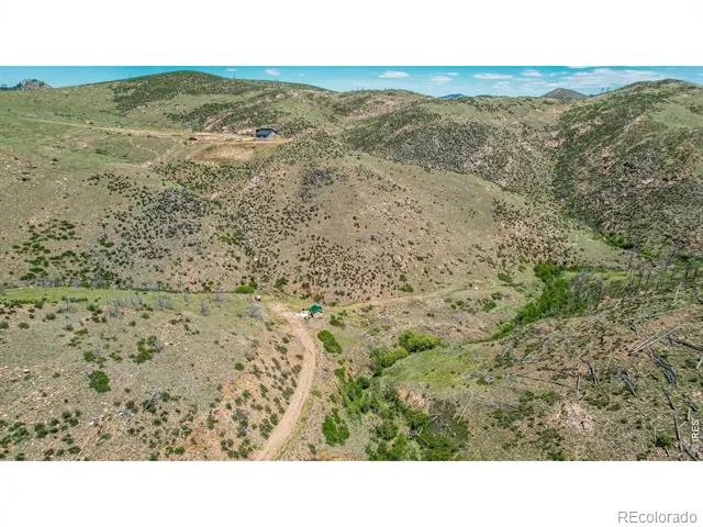 173 Grays Peak Court Livermore, CO 80536