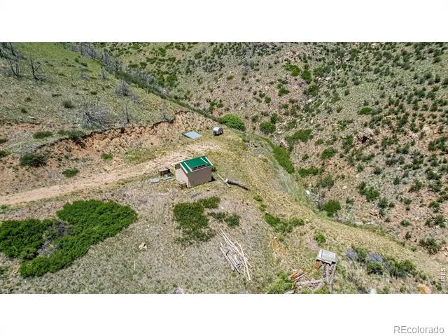 173 Grays Peak Court Livermore, CO 80536