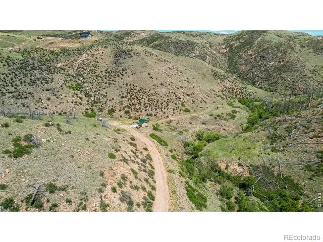 173 Grays Peak Court Livermore, CO 80536