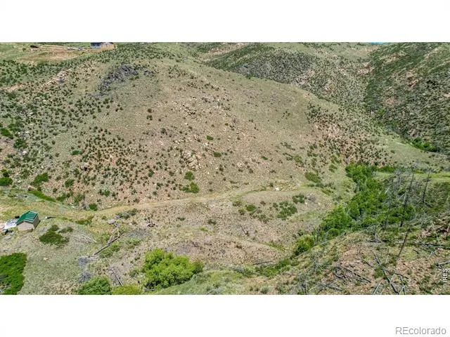 173 Grays Peak Court Livermore, CO 80536