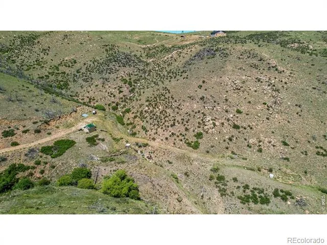 173 Grays Peak Court Livermore, CO 80536