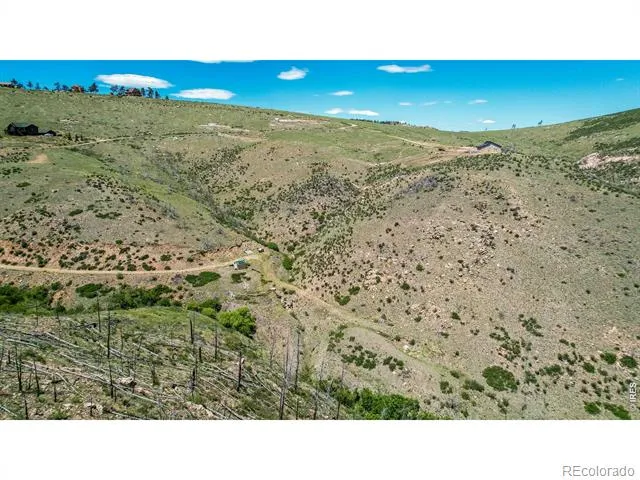 173 Grays Peak Court Livermore, CO 80536