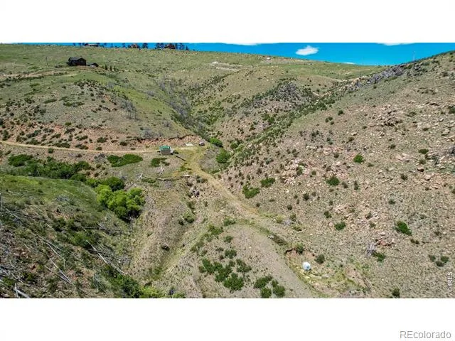 173 Grays Peak Court Livermore, CO 80536