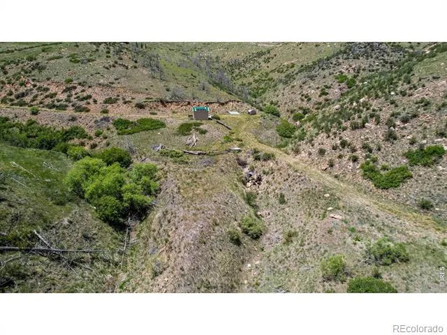 173 Grays Peak Court Livermore, CO 80536