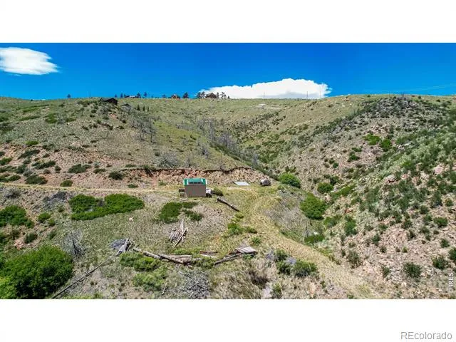 173 Grays Peak Court Livermore, CO 80536