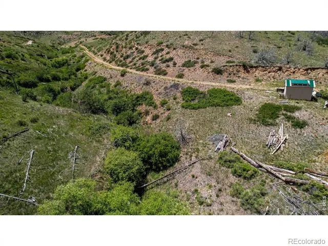 173 Grays Peak Court Livermore, CO 80536