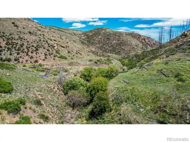 173 Grays Peak Court Livermore, CO 80536